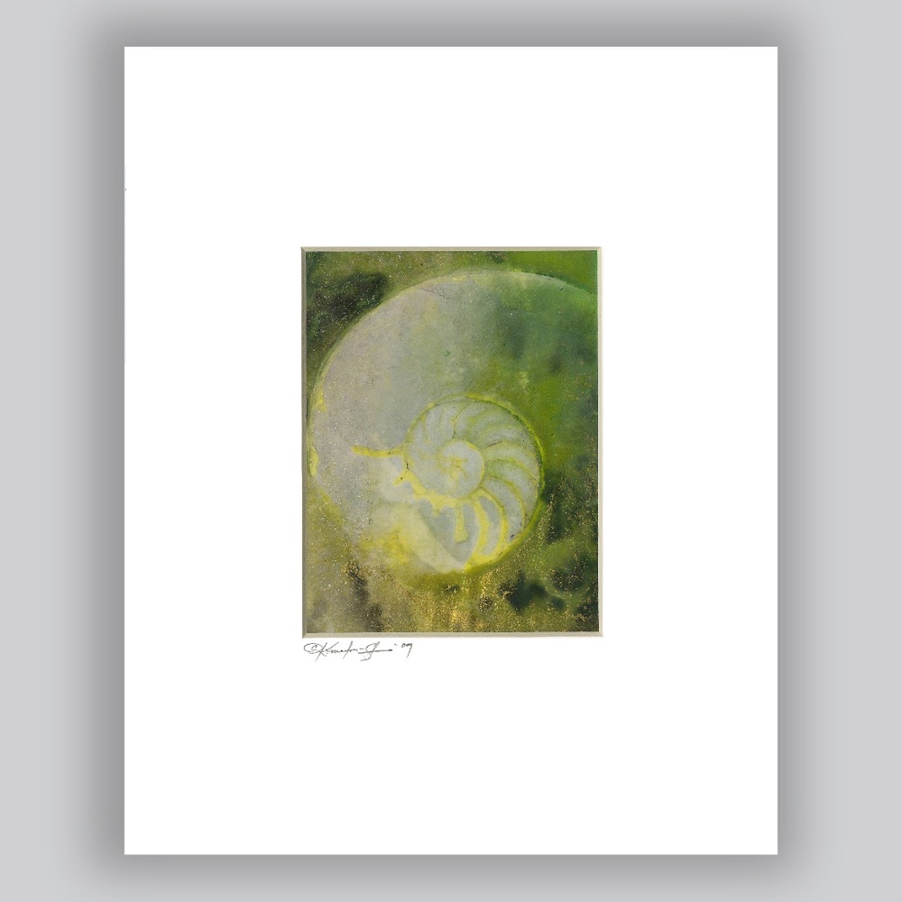 Original Nautilus Shell Watercolor Painting in Acid Free mat Nautilus Shell 942